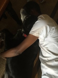 20150520_233220278_iOS