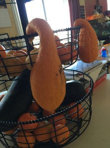 20150927_194502359_iOS